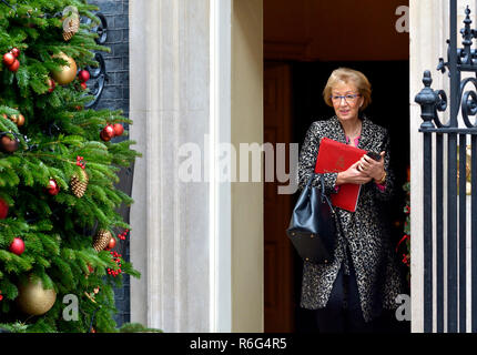 Andrea Leadsom MP (Con: South Northamptonshire) Führer des Unterhauses, 10 Downing Street nach einer Kabinettssitzung, Dezember 2018 Stockfoto