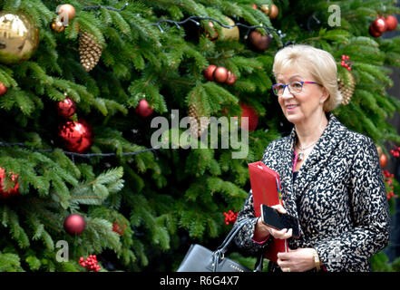 Andrea Leadsom MP (Con: South Northamptonshire) Führer des Unterhauses, 10 Downing Street nach einer Kabinettssitzung, Dezember 2018 Stockfoto