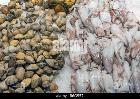 Tintenfisch und Muscheln auf einem Markt in Madrid, Spanien Stockfoto