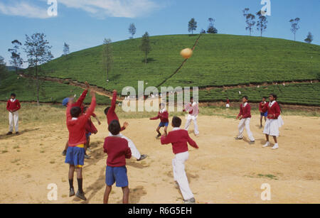 Schoolkids spielen eine Kugel in der Mitte der Teeplantagen in der Nähe von Nurya Eliya auf Sri Lanka Insel Stockfoto