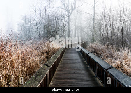 Frost bedeckt Naturlehrpfad Boardwalk in den Bäumen Stockfoto