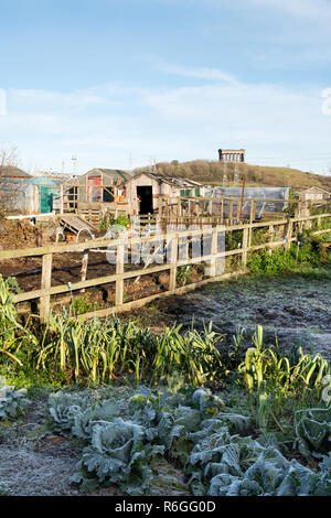 Schrebergarten im Winter mit penshaw Monument im Hintergrund, Sunderland, England, Großbritannien Stockfoto