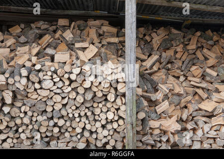 Holz- Protokolle werden in einem holzschuppen für den Einsatz in den Winter Monaten gespeichert. Großbritannien Stockfoto