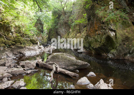 Fairy Glen ist eine abgelegene Schlucht des Flusses Conwy, am Rande des Dorfes Betws y Coed, Snowdonia, Wales. Stockfoto