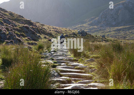 Ein Mann, der an den Anfang der Cwm Idwal Spaziergang in Snowdonia National Park in Wales. Stockfoto