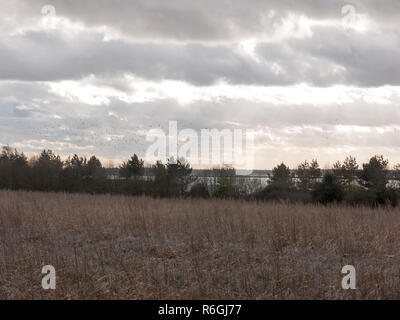 Moody Skyline Wolken über Herbst Bauernhof Feld Stockfoto