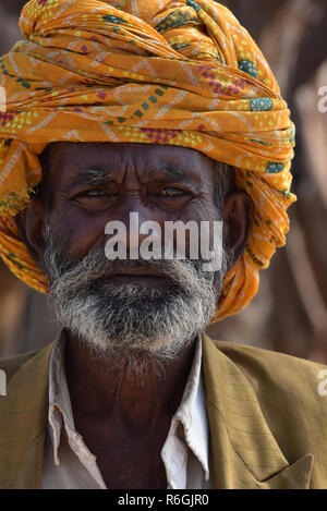 Ältere Rajasthani männlich, tragen eine traditionelle bunte Turban, direkt auf die Kamera, Rajasthan, Indien, Asien. Stockfoto