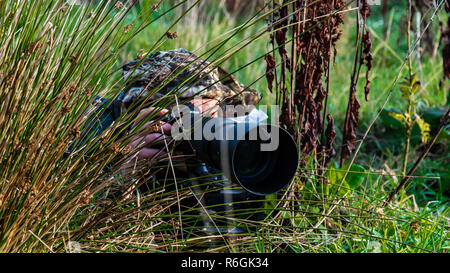 Naturfotograf versteckt im Gras, Büsche ohne sichtbares Gesicht. Stockfoto