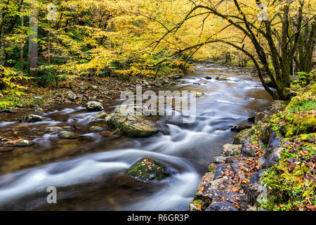 Horizontale Schuß eines schönen fließenden Smoky Mountain Stream in herbstlichen Farben. Stockfoto