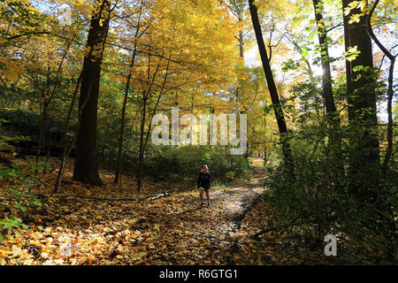 Tibbetts Brook Park Yonkers New York Stockfoto