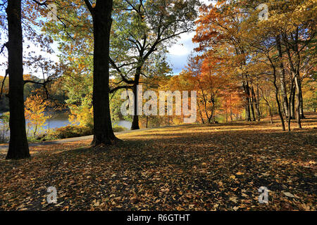 Tibbetts Brook Park Yonkers New York Stockfoto