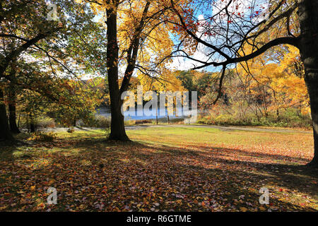 Tibbetts Brook Park Yonkers New York Stockfoto