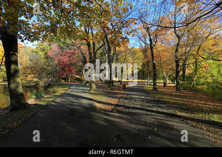 Tibbetts Brook Park Yonkers New York Stockfoto