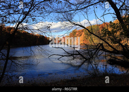 Tibbetts Brook Park Yonkers New York Stockfoto