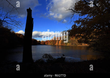 Tibbetts Brook Park Yonkers New York Stockfoto