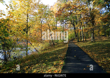 Tibbetts Brook Park Yonkers New York Stockfoto