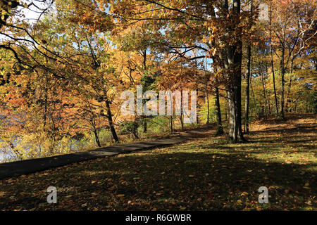 Tibbetts Brook Park Yonkers New York Stockfoto