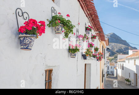 Alfarnatejo, weißes Dorf auf einem Hügel, Berge von Malaga, Andalusien, Spanien. Stadthäuser Stockfoto