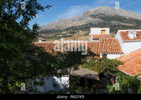 Alfarnatejo, weißes Dorf auf einem Hügel, Berge von Malaga, Andalusien, Spanien. Stadthäuser Stockfoto