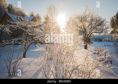 Verschneite Straßen und Bäume in extrem kalten Winter morgen Stockfoto