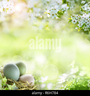 Ostereier mit Frühlingsblumen Stockfoto