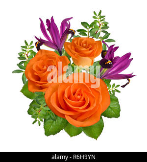 Komposition mit Rosen und orande lila Iris. Auf weissem Hintergrund. Stockfoto