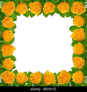 Rahmen Mit Gelben Rosen. Auf weissem Hintergrund. Stockfoto
