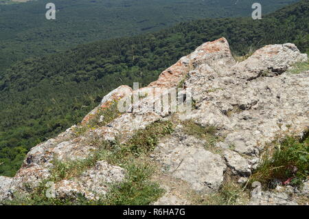 Blick von der Rocky Top, mit Gras bewachsen, auf der Nadelwald am Fuße des Berges mit dicht wachsende Bäume Stockfoto