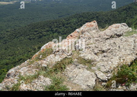 Blick von der Rocky Top, mit Gras bewachsen, auf der Nadelwald am Fuße des Berges mit dicht wachsende Bäume Stockfoto