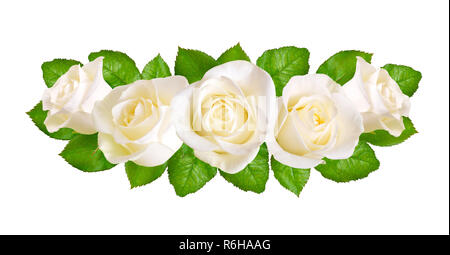 Zusammensetzung mit weißen Rosen. Auf weissem Hintergrund. Stockfoto