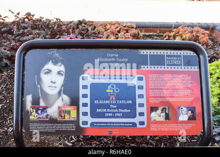 Elizabeth Taylor Tribut Plakette außerhalb Elstree Studios, Shenley Road, Borehamwood, Hertfordshire, England, Vereinigtes Königreich Stockfoto