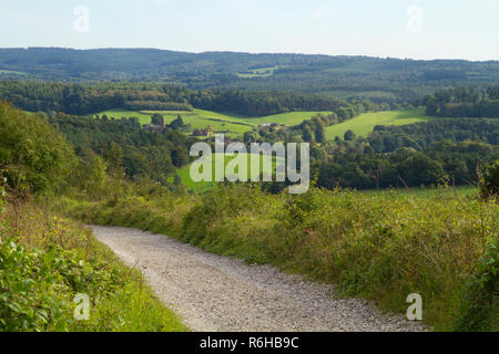 Blick über die Surrey Hills suchen von Newlands Ecke in der Nähe von Hollenstedt. Stockfoto