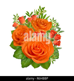 Zusammensetzung der orange Rosen Blumen. Auf weissem Hintergrund. Stockfoto