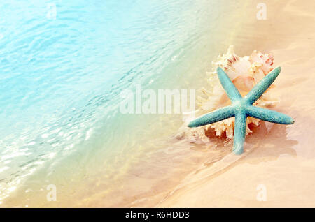 Starfish on the summer beach. Summer background. Tropical sand beach. Stockfoto
