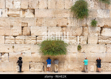 Jüdische orthodoxe Gläubige Lesen der Thora und zu beten, mit Blick auf die Westliche Mauer, auch als Klagemauer oder Kotel in der Altstadt in Jerusalem, Israel bekannt. Stockfoto