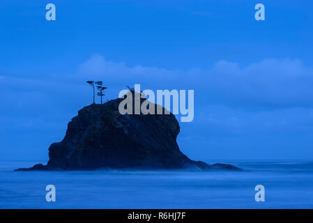 Blaue Stunde in der zweiten Strand, Olympic National Park, Washington. Stockfoto