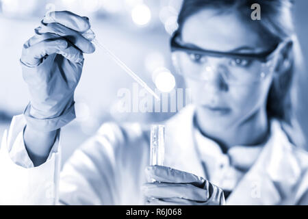 Junge Wissenschaftler im Life-Science Labor pipettieren. Stockfoto