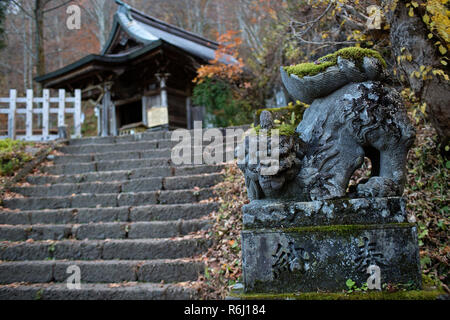 Koma Inu (lion Guard Dog) an Okusha Togakushi Schrein in, Honshu, Japan Stockfoto