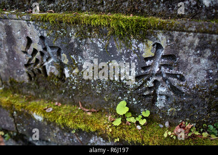 Script auf Stein, Okusha Togakushi Schrein in, Honshu, Japan Stockfoto