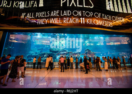 DUBAI, VAE - Oktober 2018: Aquarium in der Dubai Mall weltweit größte Shopping Mall, Downtown Burj Dubai Stockfoto