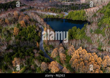 Schöne Straße im Herbst Wald. Antenne Landschaft der Herbstsaison, Ansicht von oben in dem Auto auf der Forststraße durch See von drohne getroffen. Stockfoto