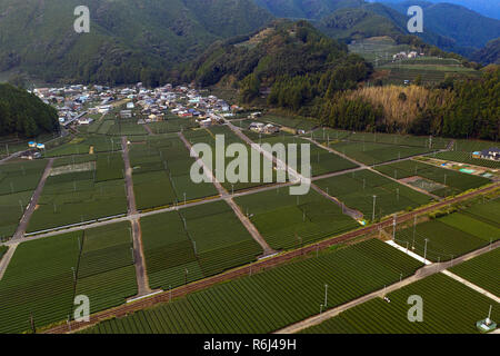 Sonnenuntergang über der Landschaft Landschaft, Felder, Tee Plantage, Drone, Japan Stockfoto