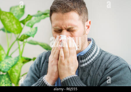 Stattliche unrasierte Mann blasen Nase Serviette. Stockfoto