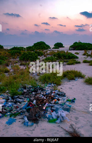 Wurf auf einer tropischen Insel im Indischen Ozean Stockfoto