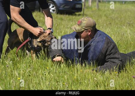 Us-Staff Sgt. Tyler Catey, 52 Sicherheitskräfte Squadron military Working Dog Trainers, unten von einem Luxemburgischen Polizei Hund während einer nationalen Polizei Woche Strafverfolgungsbehörden Anzeige in Spangdahlem Air Base, Germany, 16. Mai 2017 getroffen. In diesem Jahr wird der 52. SFS begann die Woche mit Kampf der Abzeichen, ein physikalisches Ereignis Beweglichkeit und Ausdauer des SFS Mitglied zu hinterfragen, durch zusätzliche Veranstaltungen im Mai 15-19 gefolgt. Diese enthalten eine Strafverfolgung anzuzeigen, ein Golfturnier, Gefängnis- und Kaution, ein 5K Base laufen und Lesung für Kinder in der Bibliothek. Stockfoto