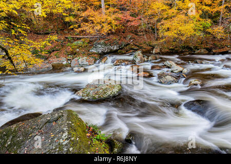 Nahaufnahme eines schönen fließenden Smoky Mountain Stream im Herbst. Stockfoto