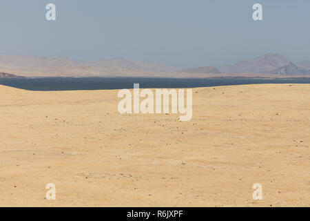 Flamingos chilenos in der nationalen Reserve von Paracas, Peru Stockfoto