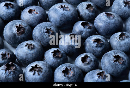 Ein Makro geschossen von Heidelbeeren. Stockfoto