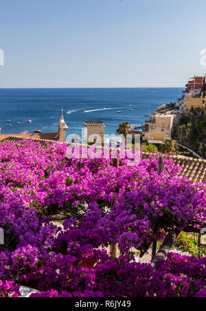Positano durch rosafarbene Bougainvillea und Boote im Hintergrund eingerahmt. Bunte Positano, das Juwel der Amalfi Küste, mit seinen bunten Häusern und Gebäuden auf einem großen Hügel mit Blick auf das Meer. Italien Stockfoto