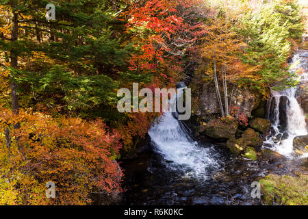 Wasserfall in Nikko Stockfoto